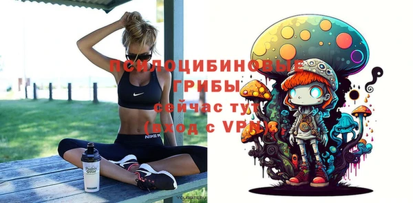 крисы Бугульма