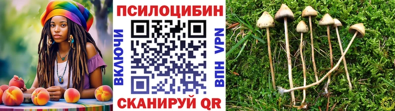 цены   Клинцы  Галлюциногенные грибы ЛСД 