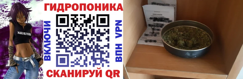 Марихуана AK-47 гидра вход Клинцы
